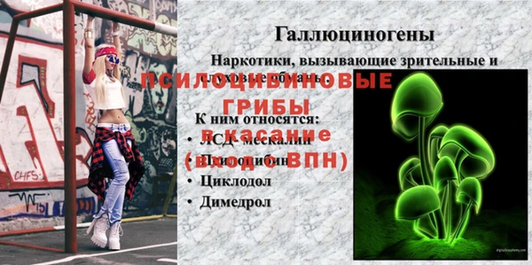 кокаин перу Каменка