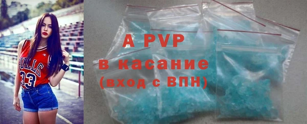 спиды Каменногорск