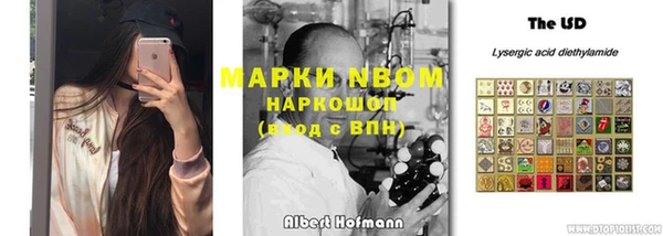 гидра Каменск-Шахтинский