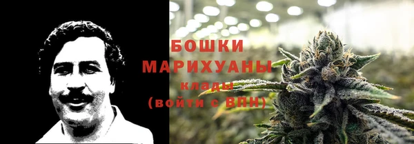 спиды Каменногорск