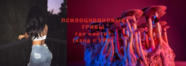гидра Каменск-Шахтинский