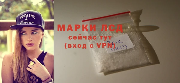 спиды Каменногорск