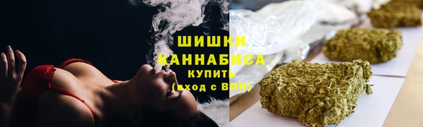 спиды Каменногорск