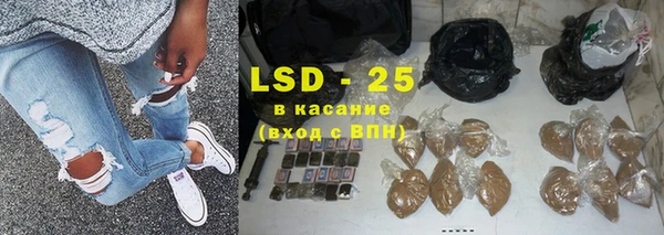 сатива Сосновка