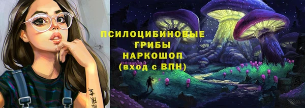 спиды Каменногорск