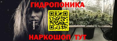 крисы Ирбит