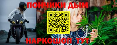 крисы Ирбит