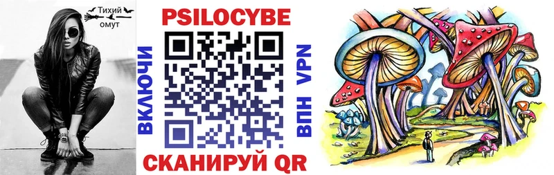 Псилоцибиновые грибы Psilocybe  Сосновоборск 