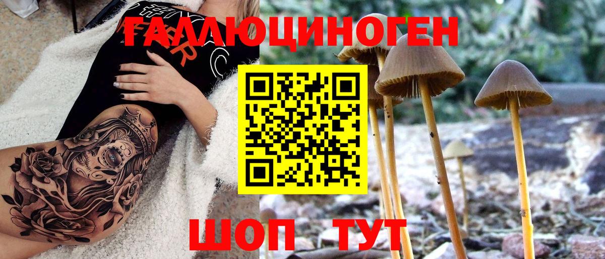 Псилоцибиновые грибы мухоморы  Галлюциногенные грибы ЛСД  Сосновоборск 