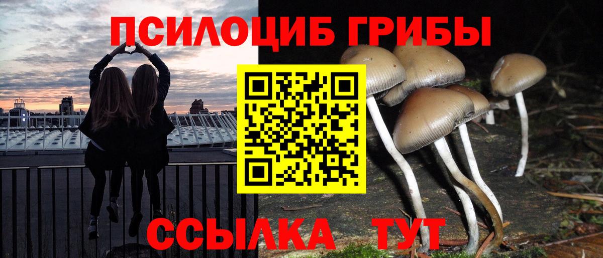 Псилоцибиновые грибы мухоморы Сосновоборск