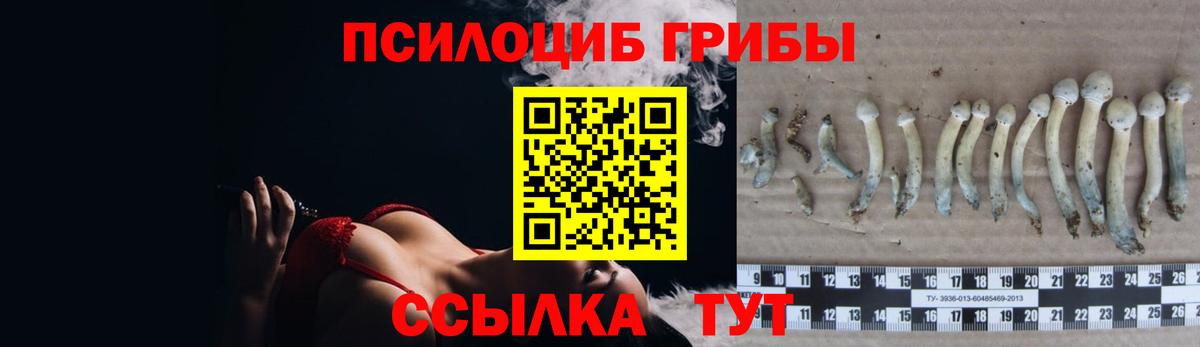 Галлюциногенные грибы MAGIC MUSHROOMS  Псилоцибиновые грибы мицелий  Сосновоборск  Вход с VPN 